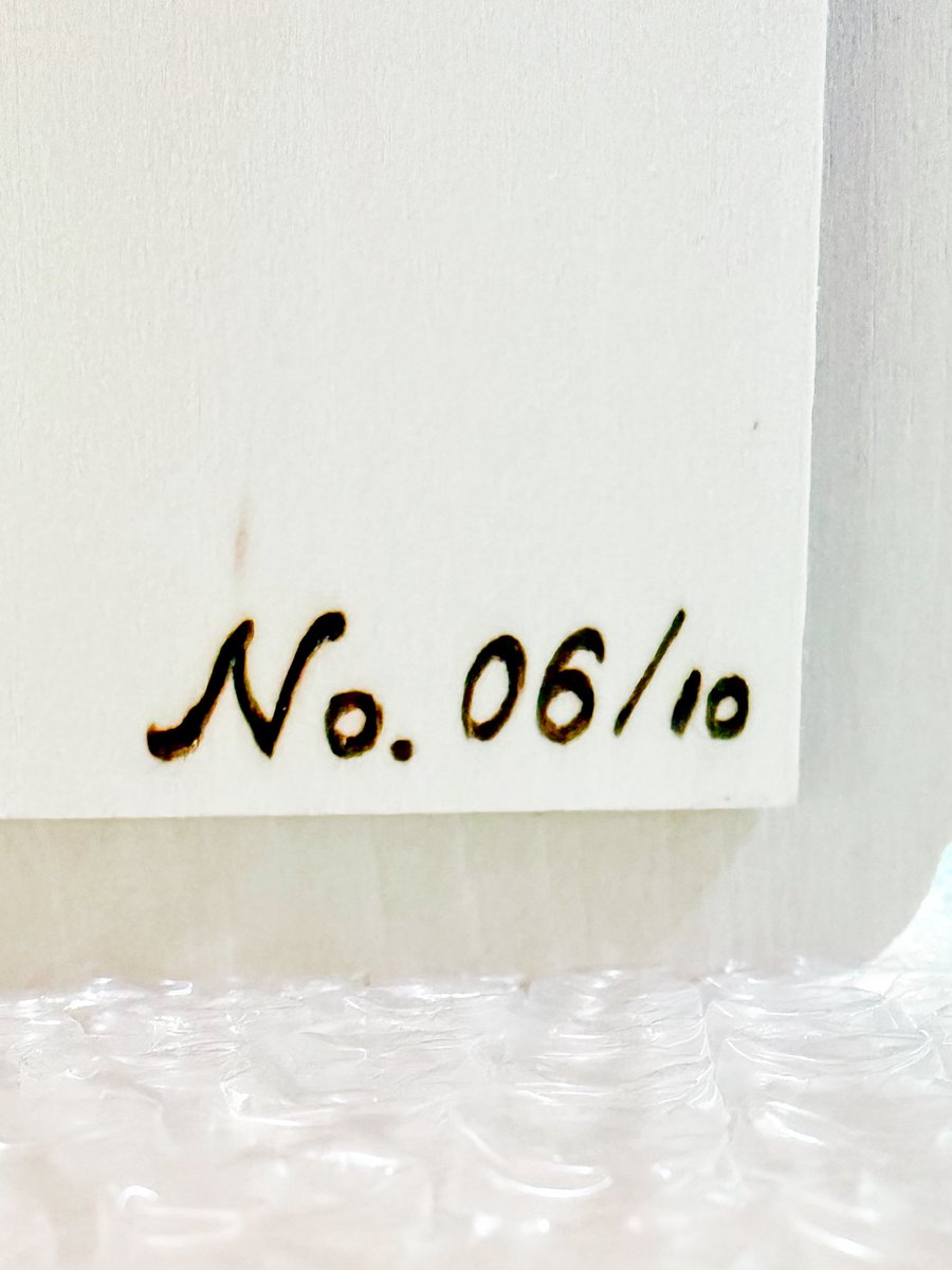 そして、これのために行ったと言っても過言では無い、ノスゲムさんのキャンディアベリーのステキな雨もり🏠🍬
世界に10個だけ、赤色の屋根のはその中で4つ、そしてTシャツの柄もそれぞれ違うらしい🌱
実際手に取ると、丁寧に手作りされてる温かみがあってめちゃくちゃ感動👏✨
大切に遊んでいこ🥺💕