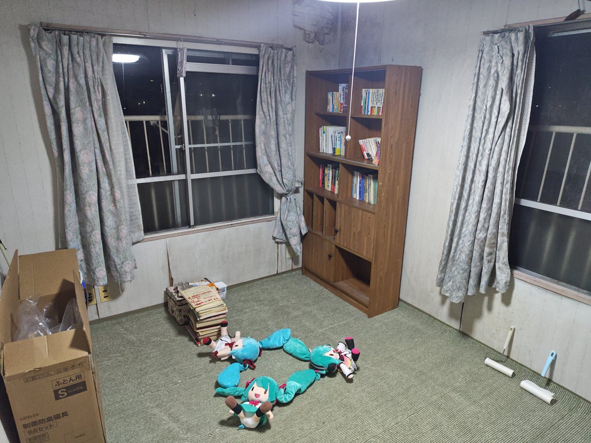 組み上がったラックに続々と収まっていくぬい。広々とした部屋はもはや
