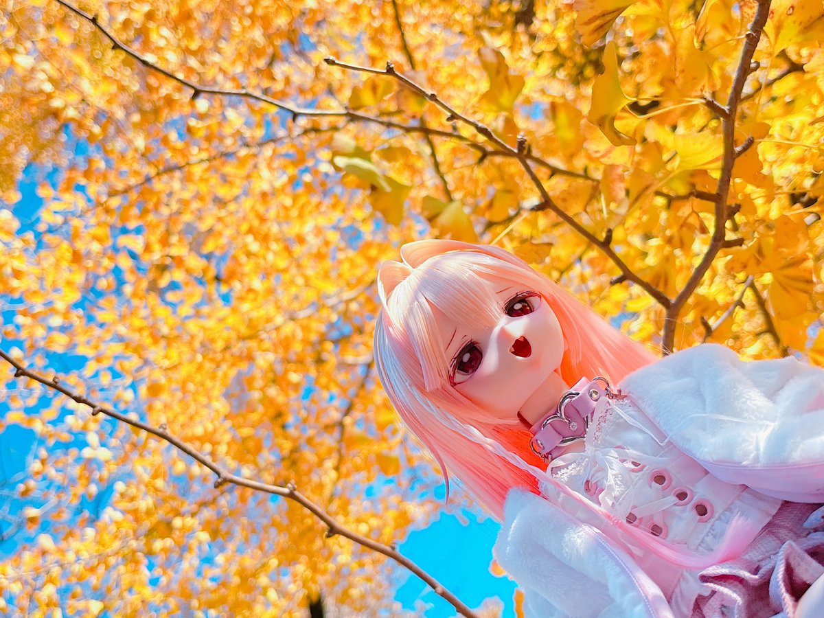 paru_su_'s tweet image. 初めてのお外じゃないですか⁉️

#おぺちゃんこ
#うちのこかわいい
#ドールとポケモン