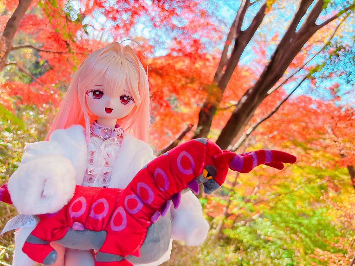 paru_su_'s tweet image. 初めてのお外じゃないですか⁉️

#おぺちゃんこ
#うちのこかわいい
#ドールとポケモン