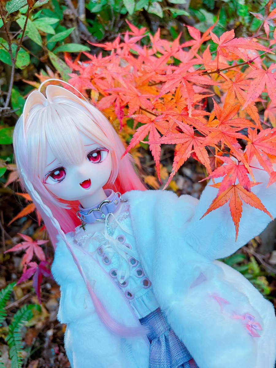 paru_su_'s tweet image. 初めてのお外じゃないですか⁉️

#おぺちゃんこ
#うちのこかわいい
#ドールとポケモン