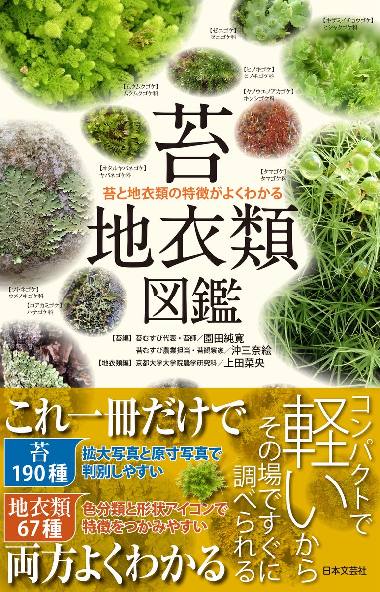 苔むすびの苔師 園田純寛@鎌倉 tweet media
