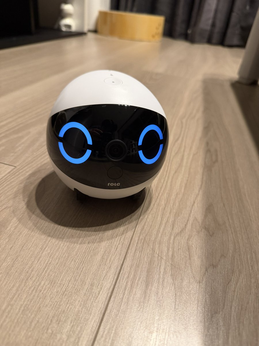 へしこ (@hesikojonny) / Posts and Replies / X