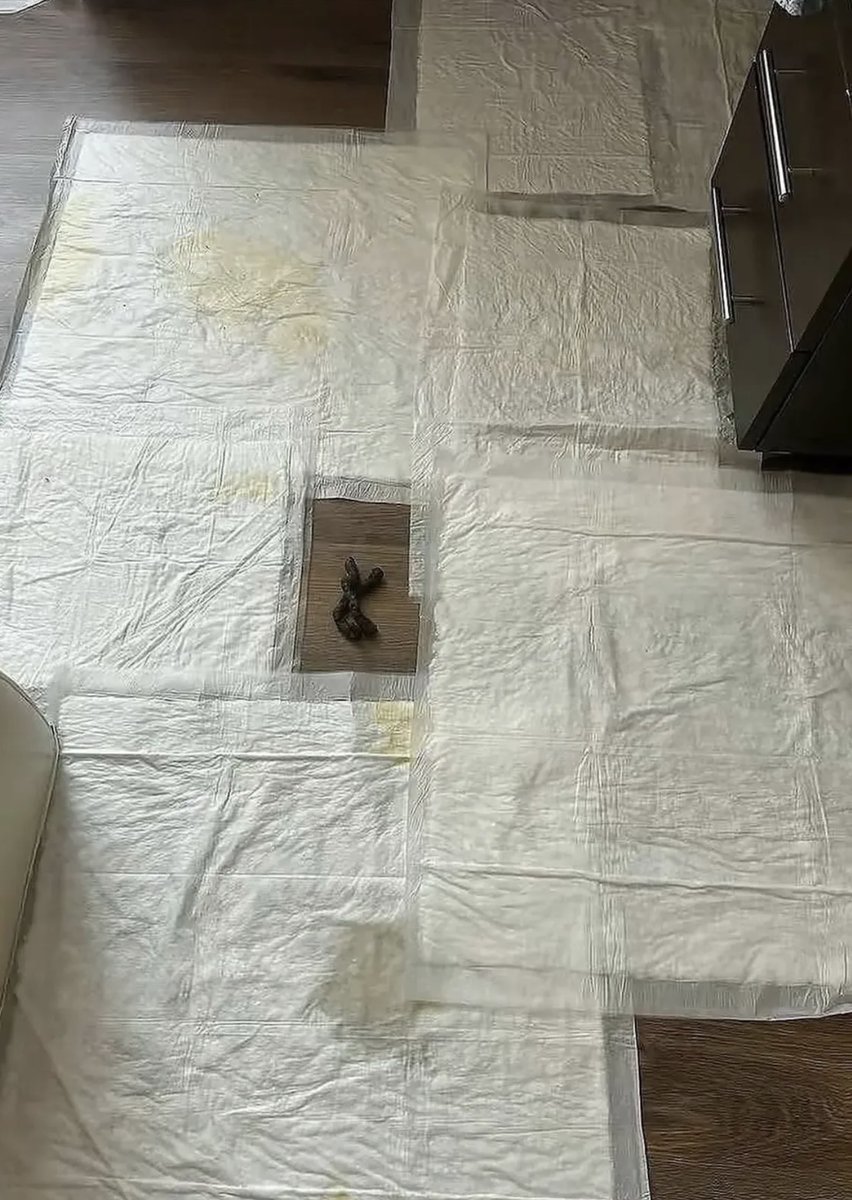 東大判定bot tweet media