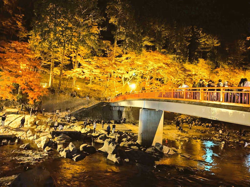香嵐渓 紅葉まつり満喫☺️ タコせん🐙イノシシマンを頼んだらラスワン