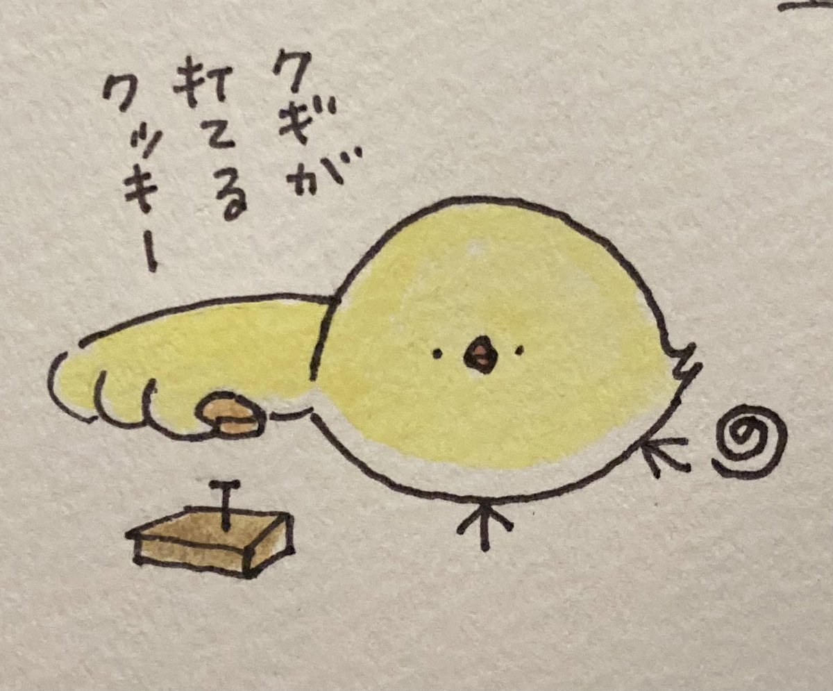 ⭐︎鳥さん　プロフぜひ⭐︎ 🐦️とりさん🐔✨️イラスト☘️ (@Torimo_23) / Posts / X