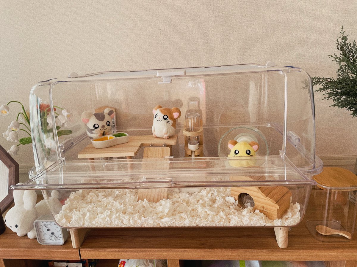 823 (@82377) / Posts / X