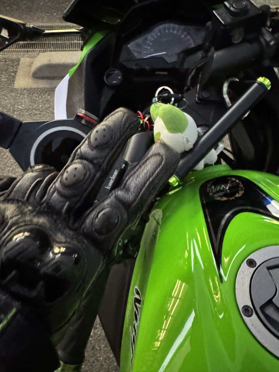 しのな (@shinonyanko22) / Posts / X