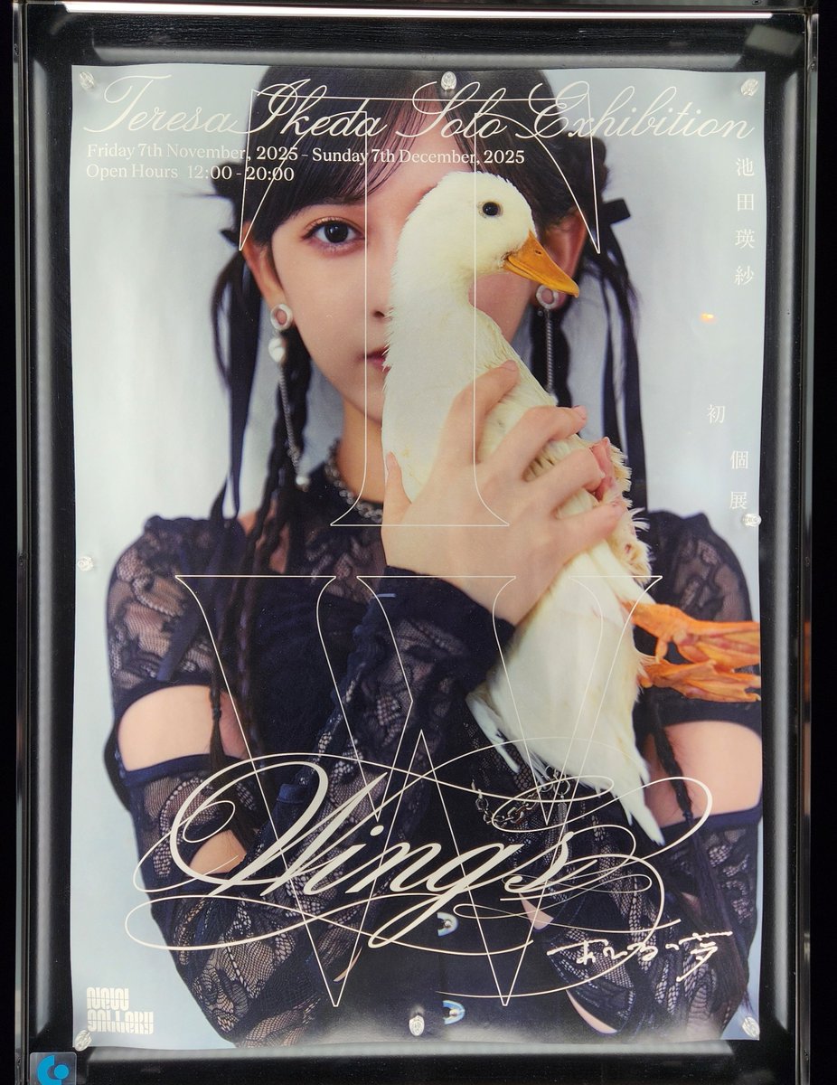 ピクチャータオル・うちわ てれぱんの個展に行き、アイドル視点のライブを体験してきた。 うちわ