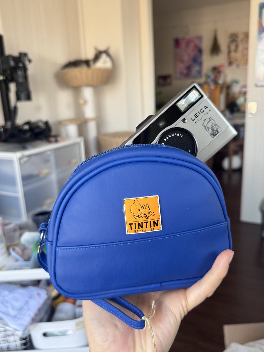 tintin...