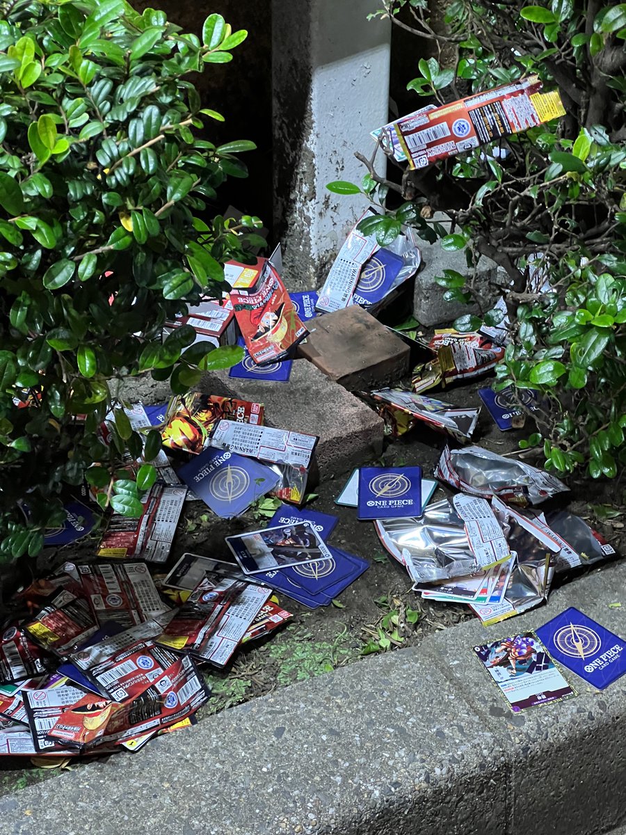 ゾロパン🐼(・_ メ) tweet media