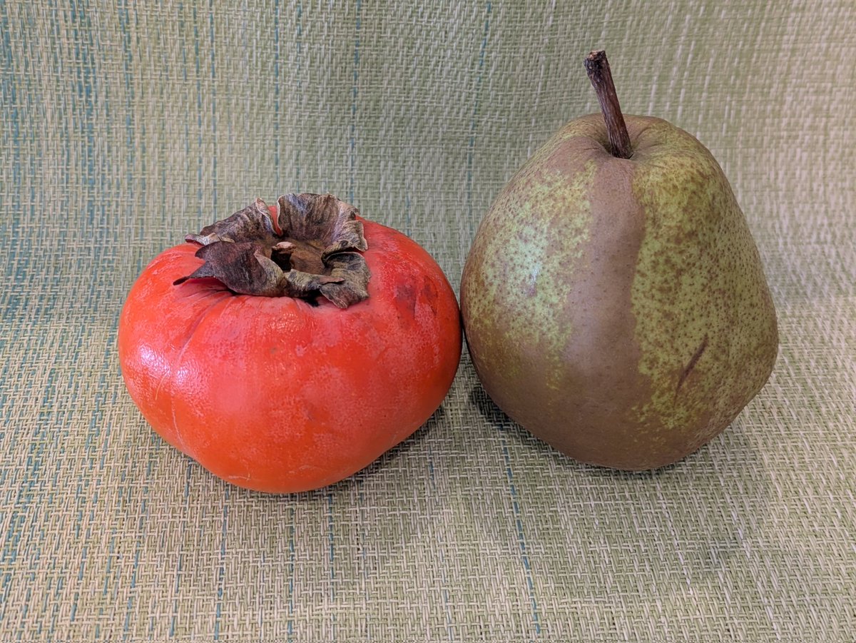 yayoi (@syayoi26) / Posts / X