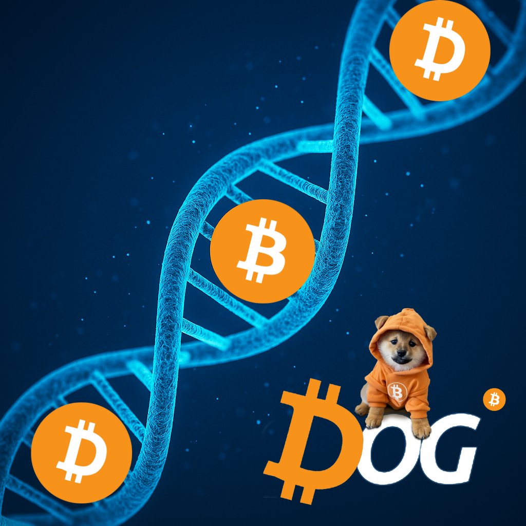 DOGPULSE 🟠 | $DOG Intelligence tweet media