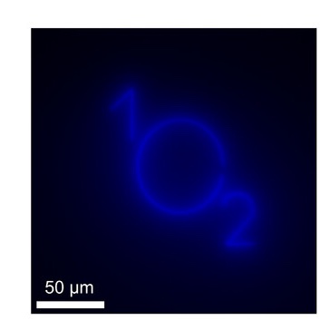 Sebastian Kruss tweet media