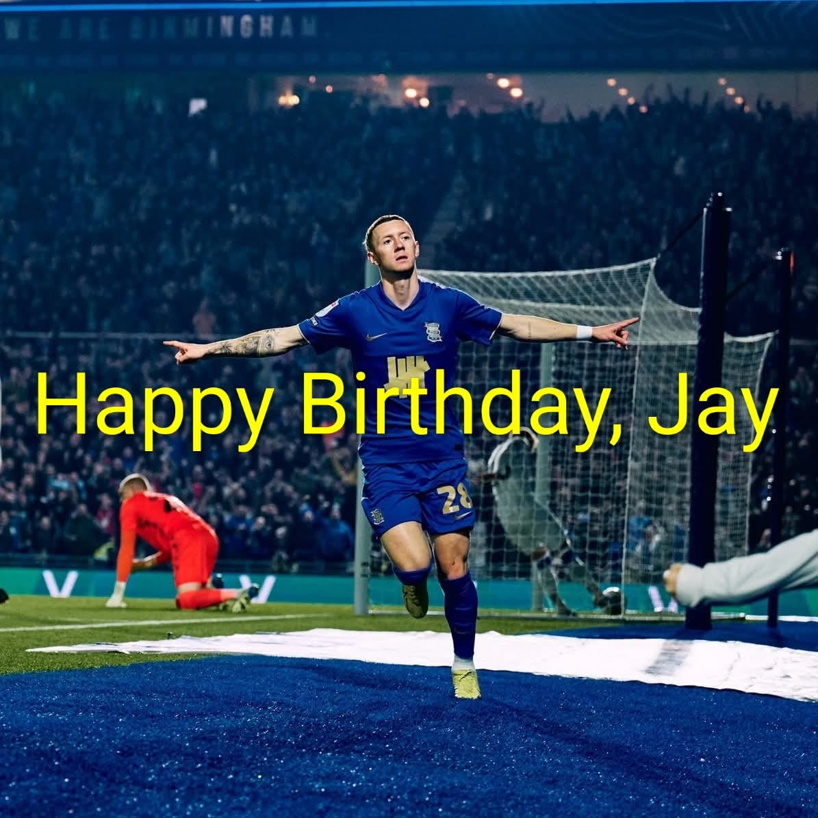 KnutRoger's tweet image. #KRO #bcfc