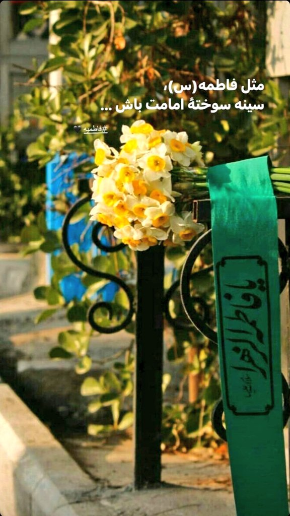 لَّا يَمَسُّهُ إِلَّا الْمُطَهَّرُونَ(واقعه۷۹)
راه زیارتت از بهشت میگذرد🌹
#فاطمیه 
#خیمه_مادری
