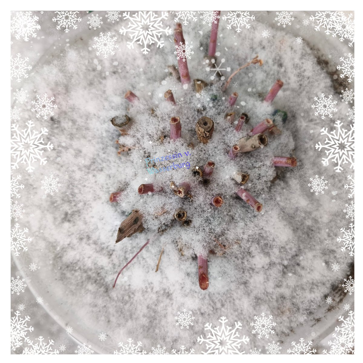 Wünsche euch einen schönen Montag ❄️🥶!

🩵🍭