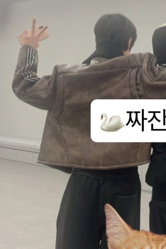 gggyuu05's tweet photo. 무스탕 동규 진짜 제발 저요 https://t.co/4pyqcw57dp
