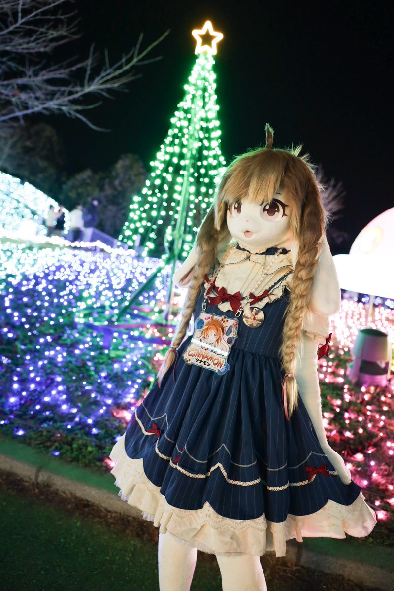 #ケモノフォーカス
シナモンで参加してました〜！
素敵なイルミネーション！良い夢を🌲✨