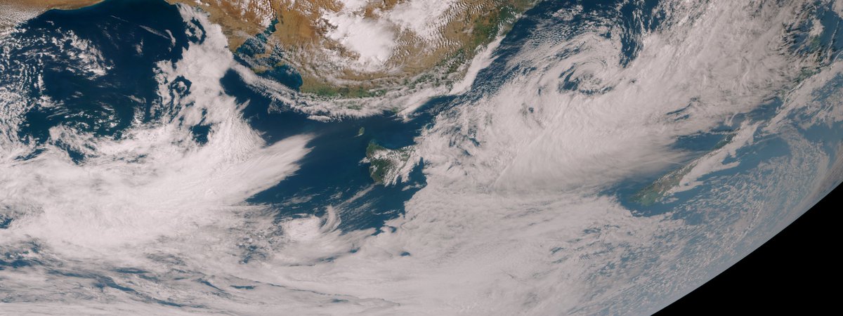 John Bell tweet media