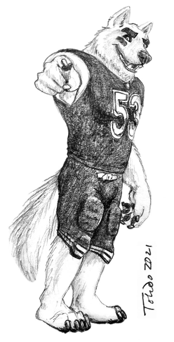 本当はアメフトユニフォームを着たいですが、腕が入りません…🥲
その代わりにイラストを以前いくつか描いてもらいました🐺

Art by Toledo (furaffinity.net/user/out-of-th…)