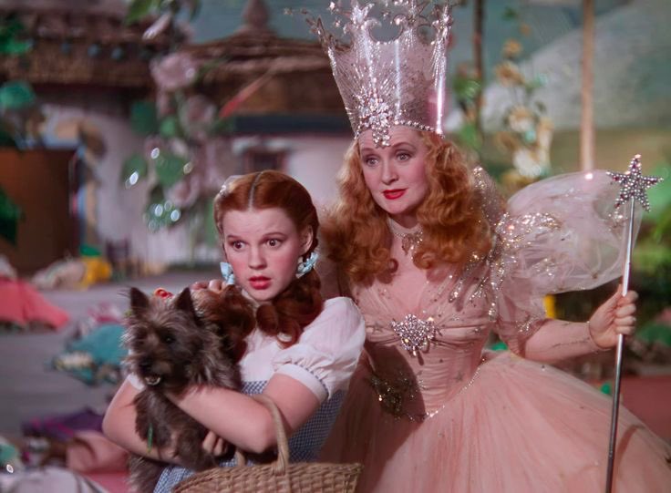 how do people see this and not just lose their shit