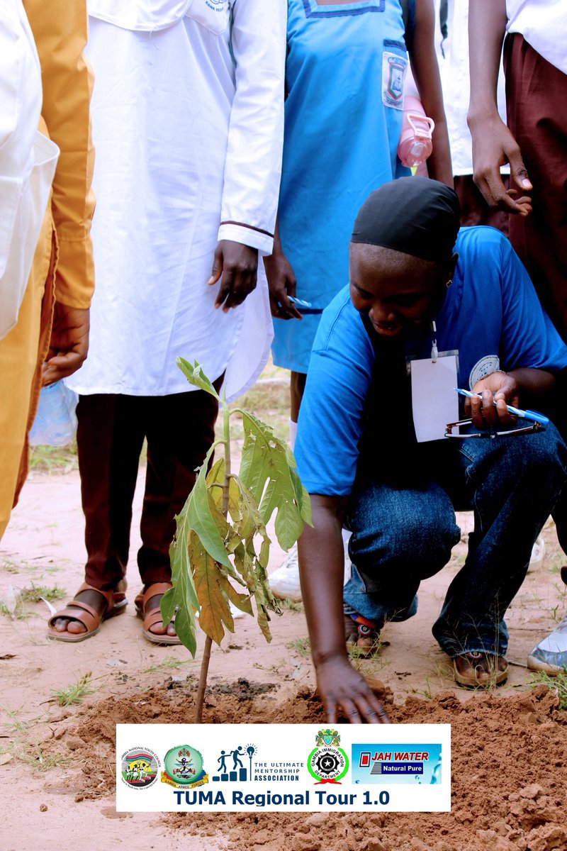 aspiringauditor's tweet photo. One tree planted can save a life😊One comeback can change a season🙌🏿❤️🫶🏿🥰 https://t.co/SiynYkbui3