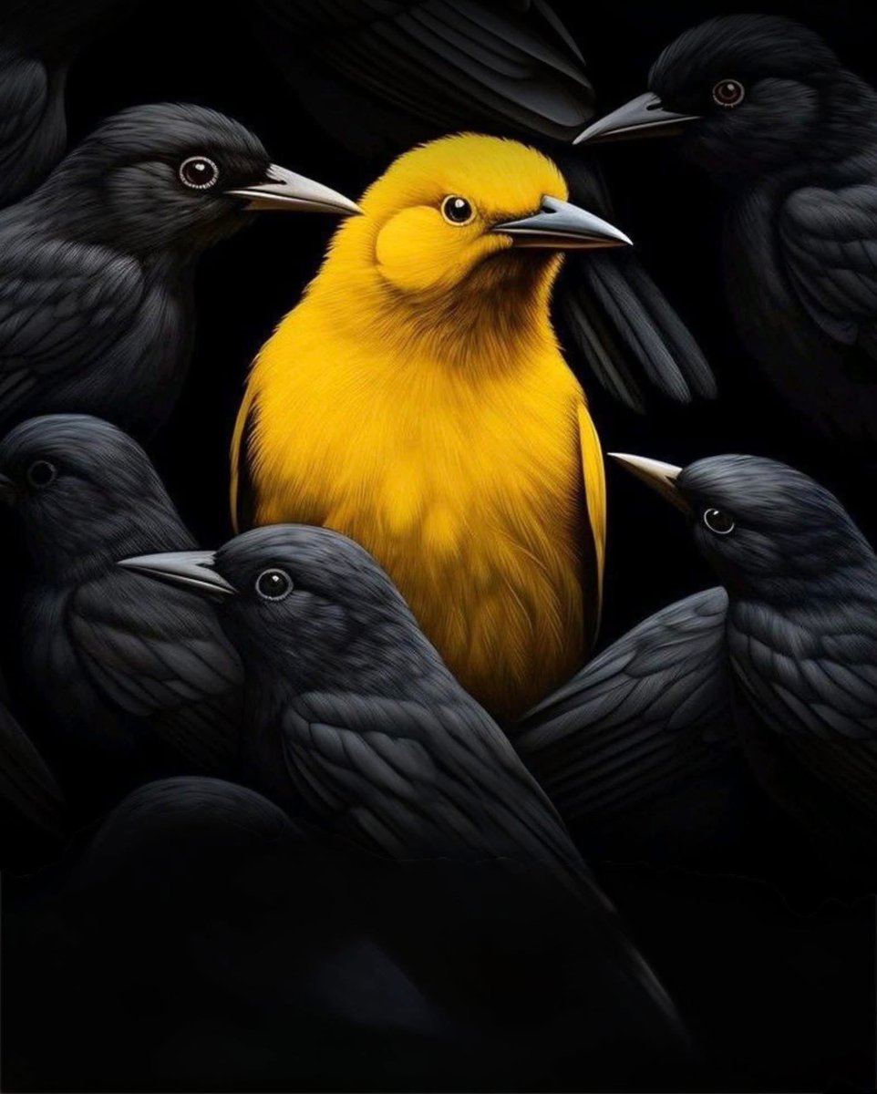 me_zubby13867's tweet image. Just like the golden bird in a dark world, @idOS_network brings clarity and security to identity verification.
No more fraud.
No more risks.
Just real, verifiable identity on-chain.
#IdentityOnBlockchain #IDOSNetwork