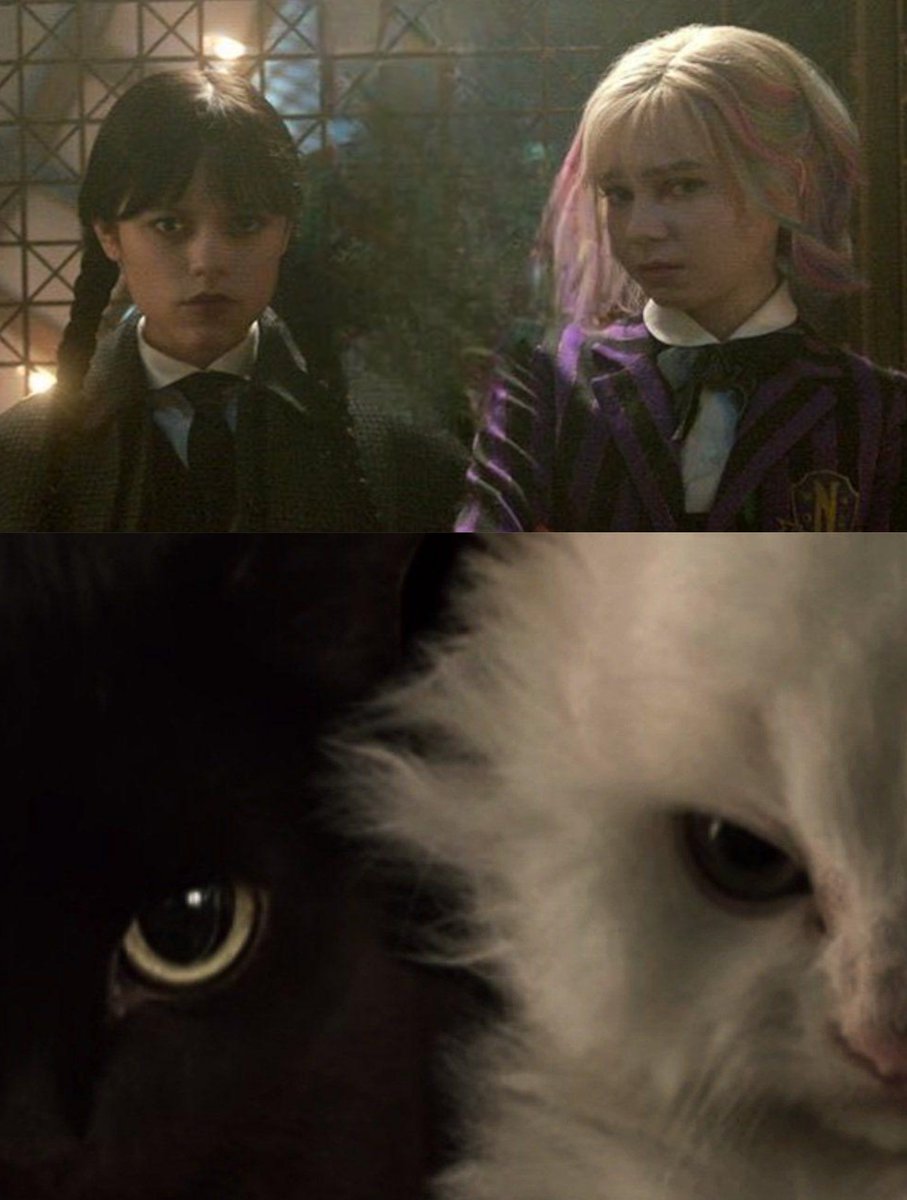 Sjmthinker's tweet image. #wenclair