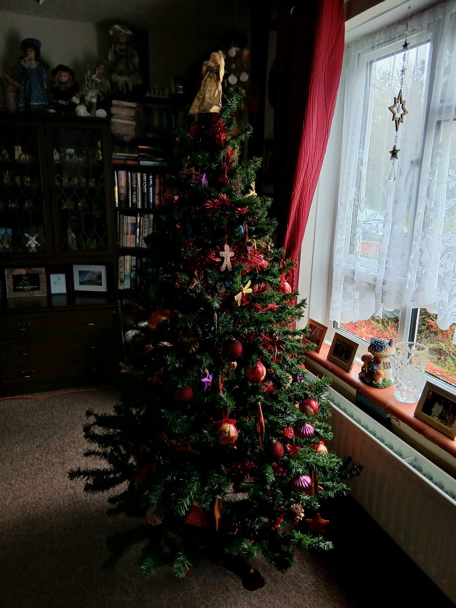 Tinalouisereads's tweet image. Tree is up #christmastree