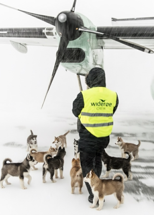 TALPoland's tweet photo. flywideroe - Any extra four legged colleagues??  Yes please 🐕🦮🐕‍🦺
#puppytrend https://t.co/unIVmMJkr0
