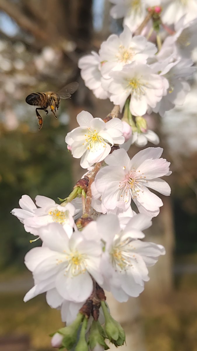 никогда не перееду туда, где холоднее. мне очень нравится такой конец ноября