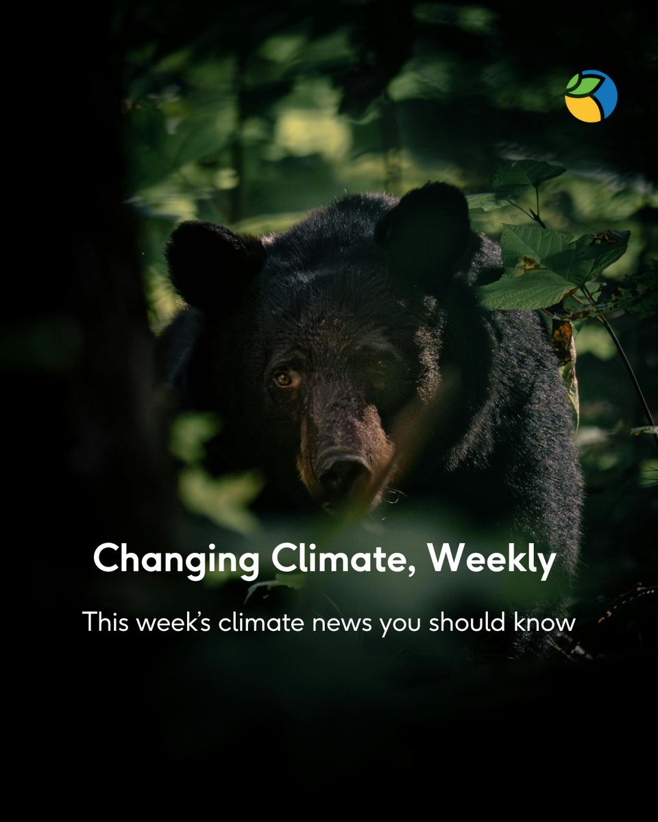 WOTRIndia's tweet image. This Week in Climate: Difficult but must be addressed!

#WOTR #WOTR4Development #WOTRat30