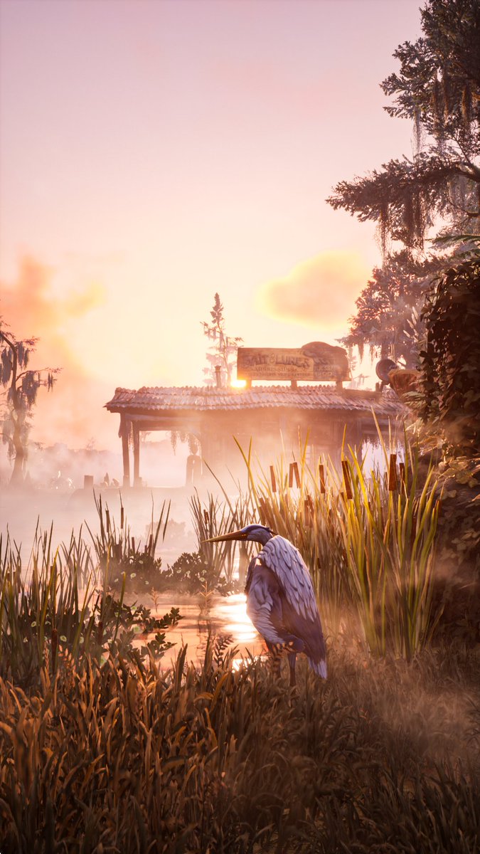 Y_wrath_games's tweet photo. Game: #SouthOfMidnight
#ThePhotoMode #VirtualPhotography #VP #VPRT #VPWorld #ukrVP #WVPLandscape #VPAnimals https://t.co/7XPQxd8Oll