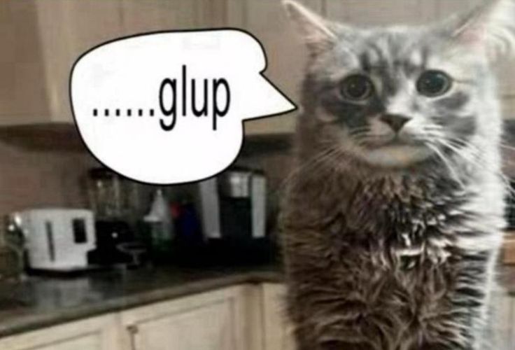 goosjiki's tweet image. The year I graduate...