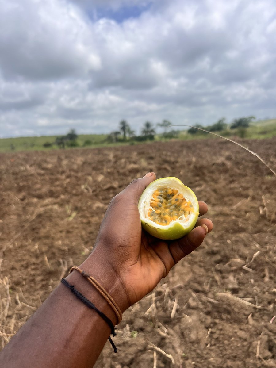 BILANGA FOREVER 

Lundi Motivation.
On commence la semaine debout, même avec la fatigue, même avec les obstacles.

Dans ce pays où rien n’est simple, on continue travailler parce-que si on abandonne, personne ne viendra nous relever.

On souffre, oui… mais on tient. Et ceux qui