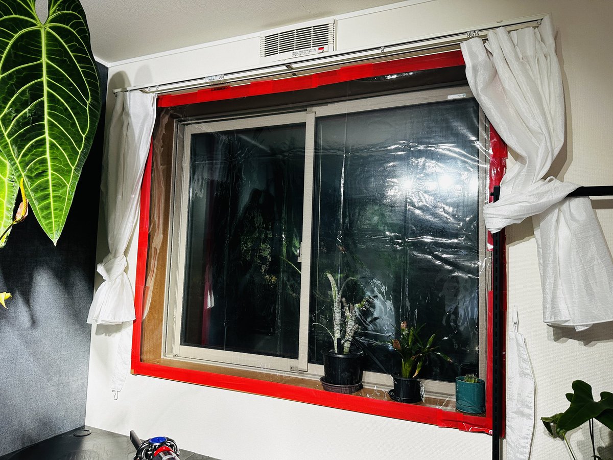 Masaya (@masaya_zxrs) / Posts / X