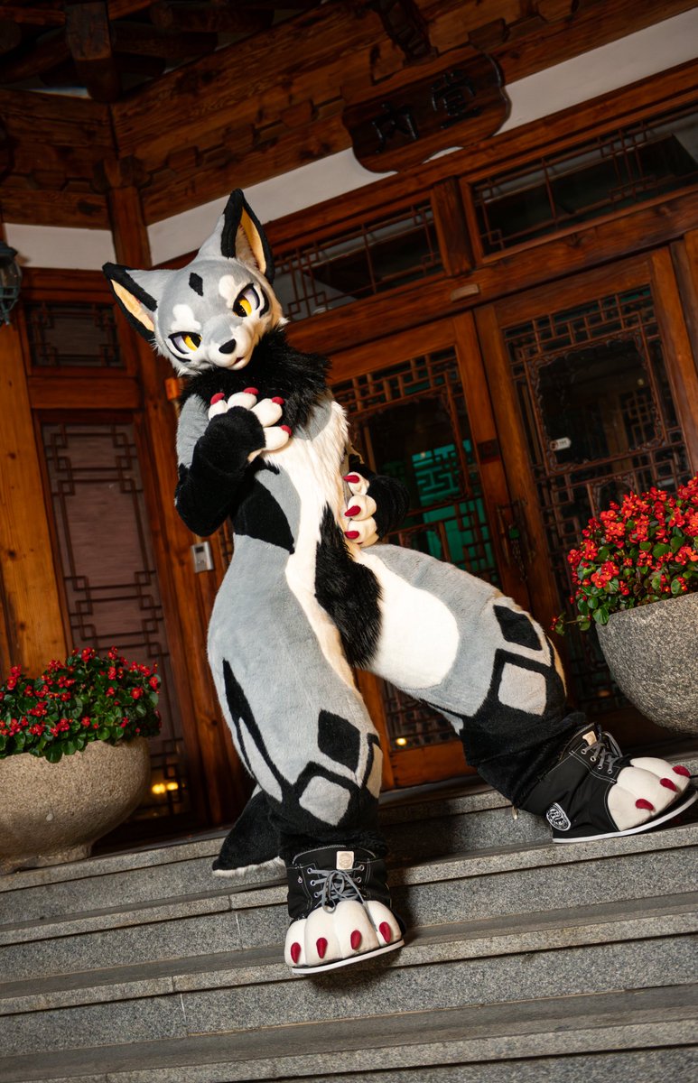 run_charizard's tweet image. welcoming dog
#FURSTCLASS