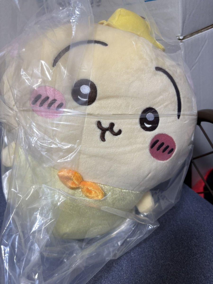 専用です໒꒱ そんな@( ◜ω◝ ) (@rache221b) / Posts / X