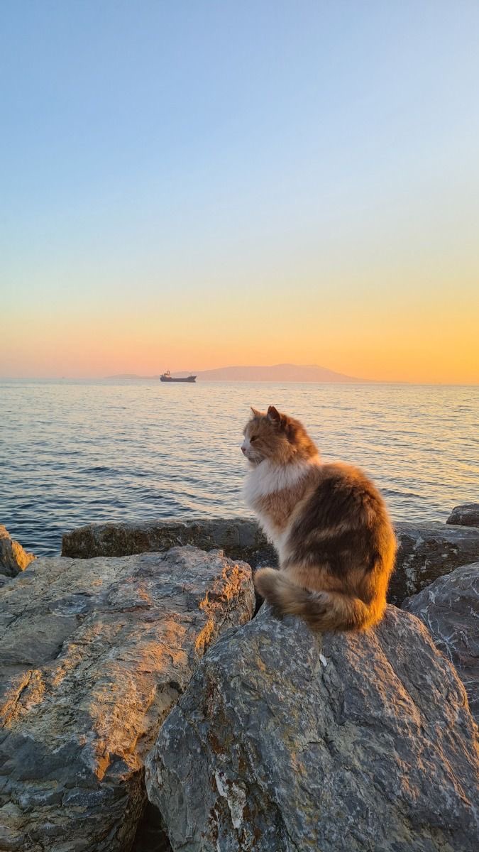 Hira ✪ (@hiracimsakinol) on Twitter photo 