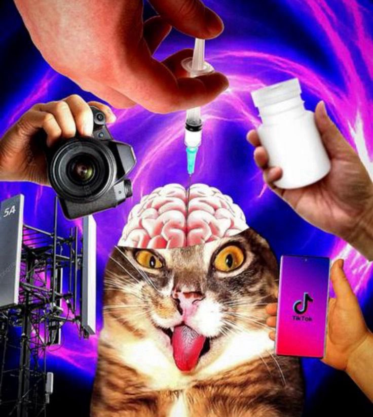 calibre19m's tweet image. jai lu une bd sur limpact du telephone sur le cerveau le premier truc que jai fait en la terminant c aller sur twitter