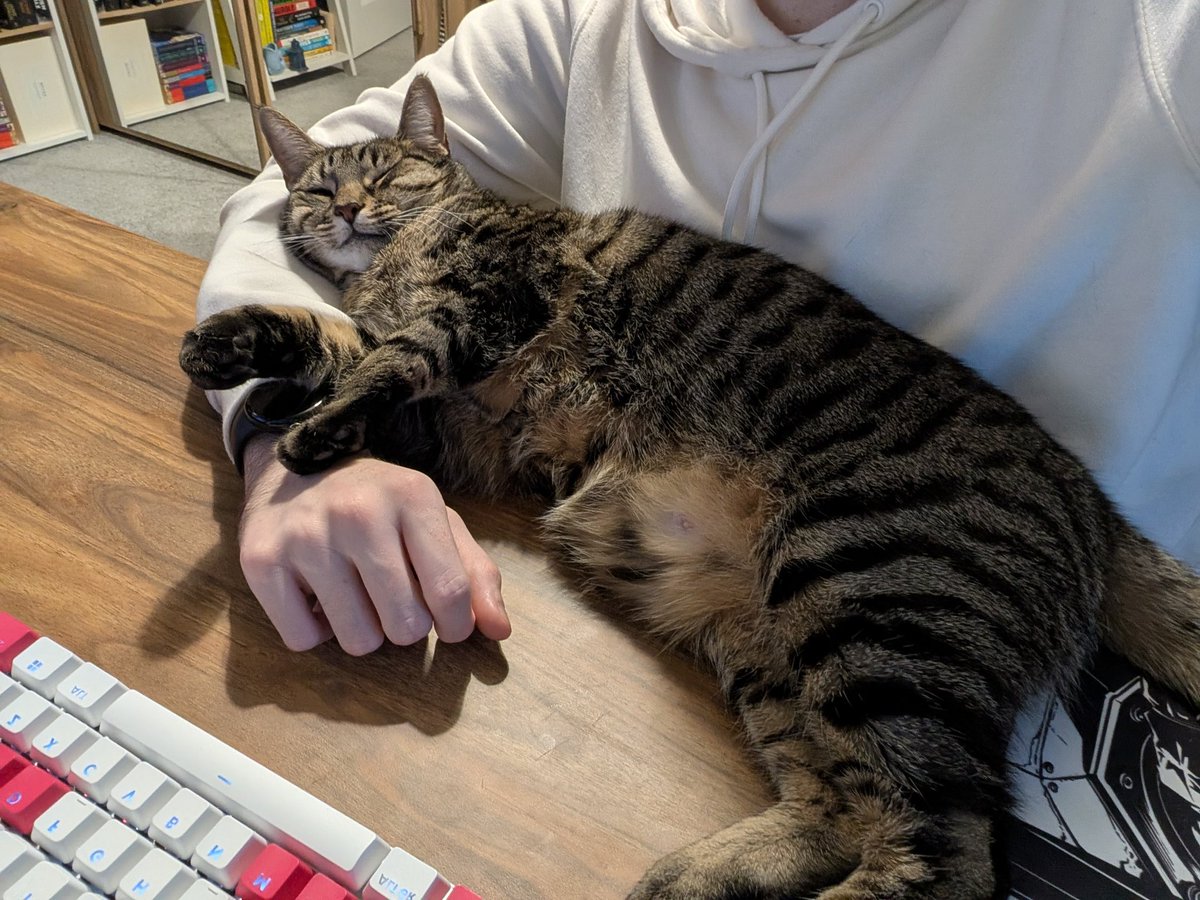 Rudi is too cute I can't 😻