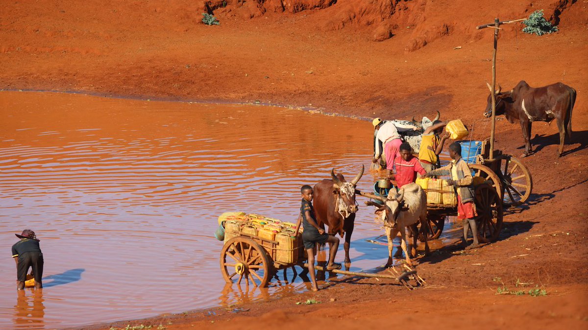UNDPplanet's tweet image. Climate change doesn’t stop at borders.

Neither should solutions.

The Adaptation Accelerator Hub brings together G7 members, partner countries, MDBs, climate funds, philanthropies and the private sector to fast-track adaptation action.

👉 Learn more: adaptation-undp.org/adaptationacce…