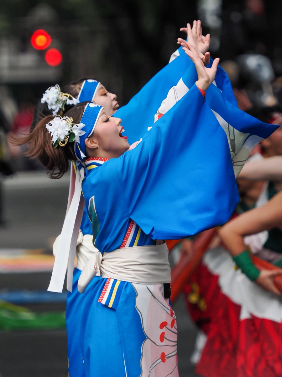 cyberzerosystem's tweet image. 2025.10.12
宮城県仙台市
『第28回仙台みちのくYOSAKOIまつり』

✧海童いしゃり

定禅寺通パレードより📸

#仙台みちのくYOSAKOIまつり
#海童いしゃり