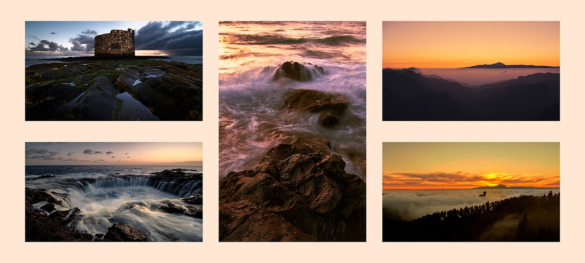 canary_islander's tweet image. Gm☕️

Have you checked my @foster_protocol profile? If not then you&apos;re missing on great photography! 👀

Don&apos;t hesitate and take a look🔗⤵️