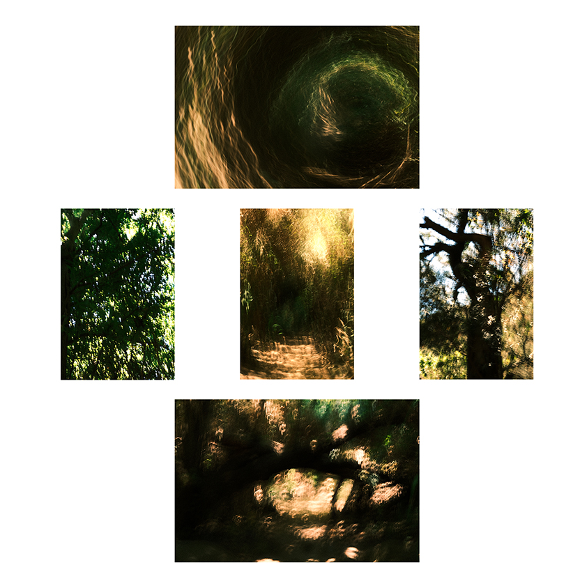 canary_islander's tweet image. Gm☕️

Have you checked my @foster_protocol profile? If not then you&apos;re missing on great photography! 👀

Don&apos;t hesitate and take a look🔗⤵️