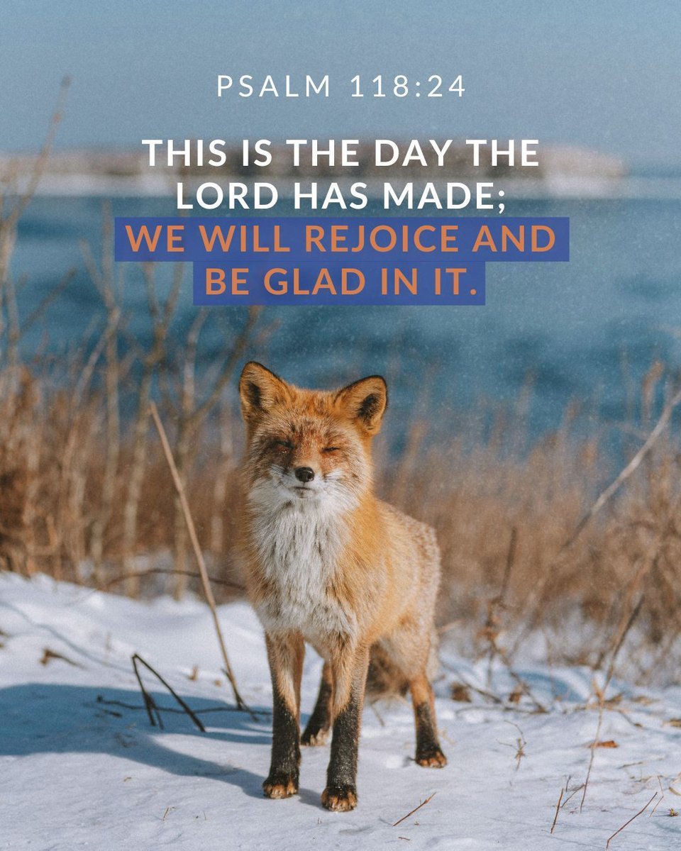 UgandaAdventist's tweet image. Today is a gift, handcrafted by our Creator. In every moment, we’re invited to find His presence, to rejoice in His faithfulness, and to trust in His perfect plan.
