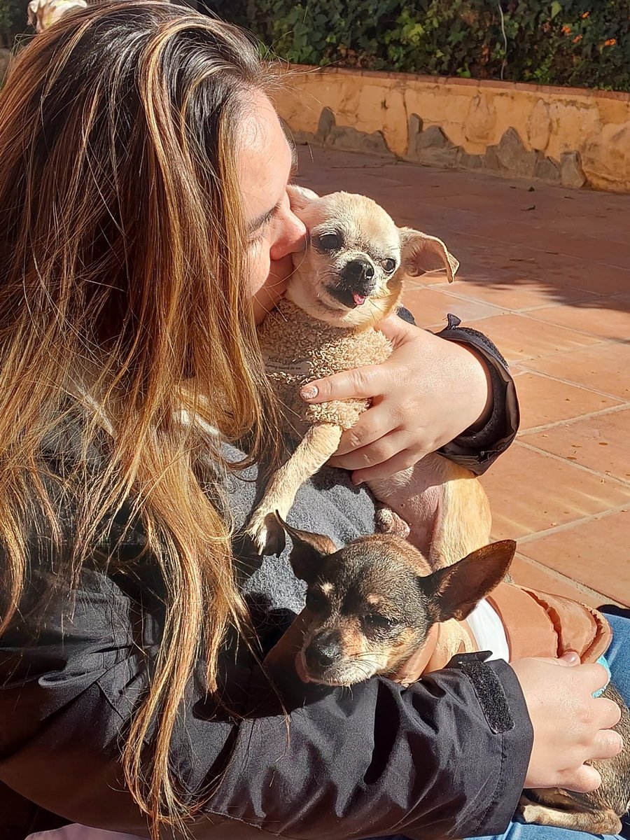 ✔️ 𝐀𝐂𝐓𝐔𝐀𝐋𝐈𝐙𝐀𝐂𝐈Ó𝐍 𝐝𝐞𝐥 𝐂𝐀𝐒𝐎 (Lunes 24/11/25);
Y… ¡Paramos difusión!!!!

Adopciones a pares!!! 🤗 Y si son de abuelitos, mejor!!
Los pequeños CHARLY &amp; CAMILA, ya tienen familia!! Gracias por la difusión............ #𝐀𝐃𝐎𝐏𝐓𝐀𝐃𝐎𝐎𝐎𝐎𝐎𝐎𝐒 👏👏