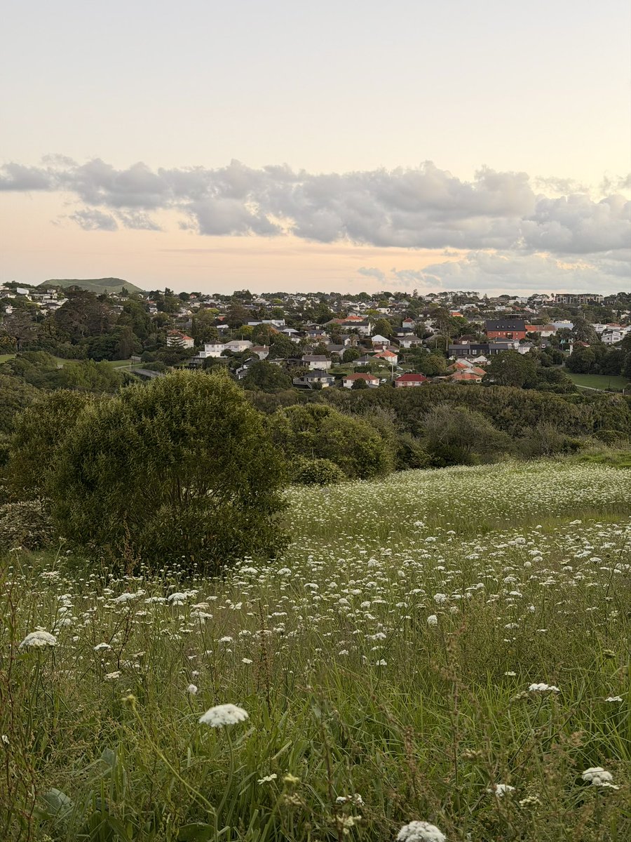 bitvect0r's tweet photo. Evening walk https://t.co/Y1TloKxy0x