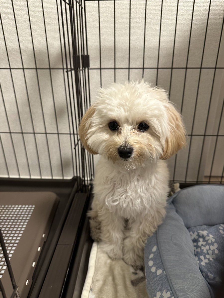 むぎ (@mugix0505) / Posts / X